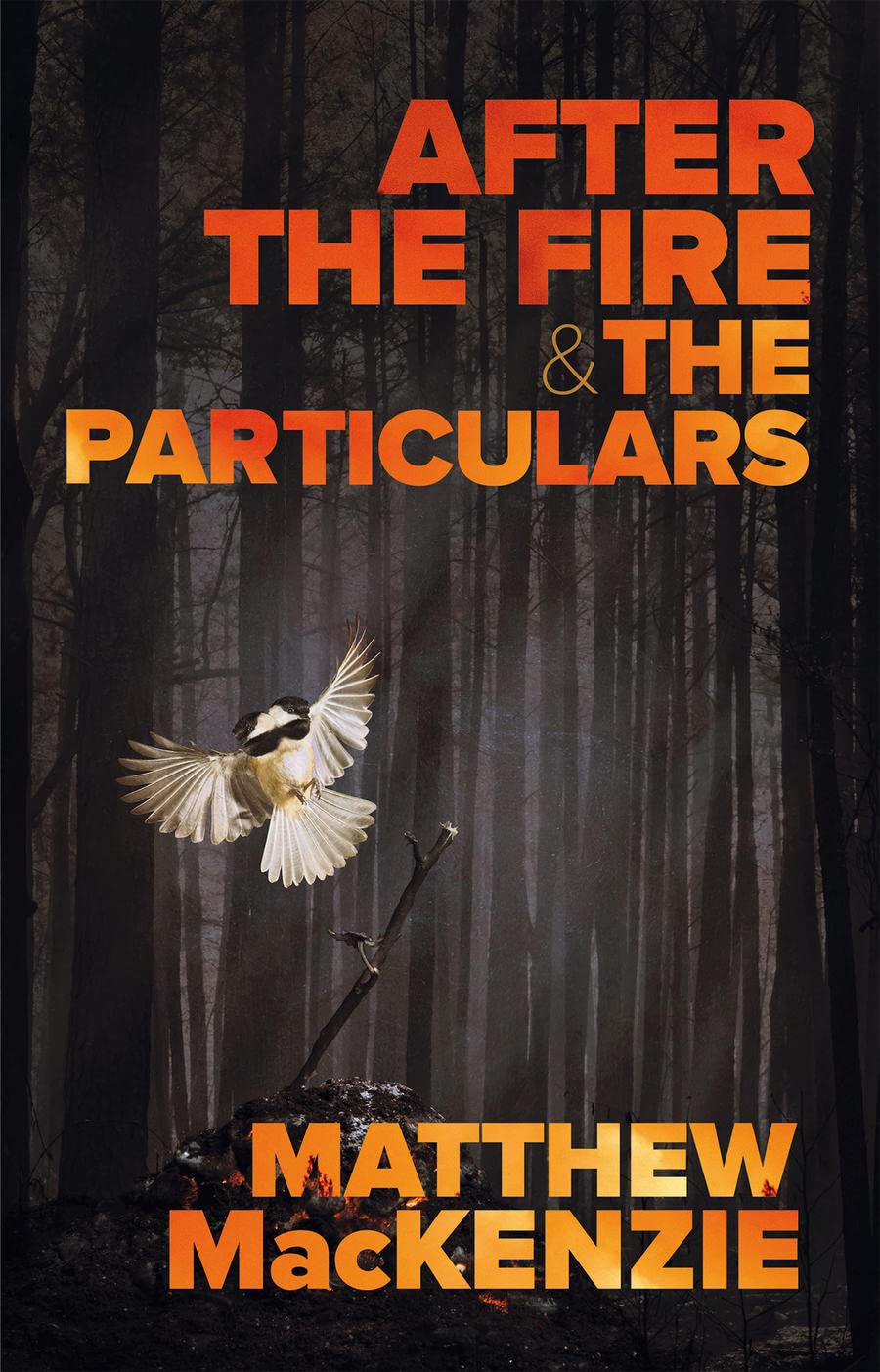 After the Fire & The Particulars by Matthew MacKenzie