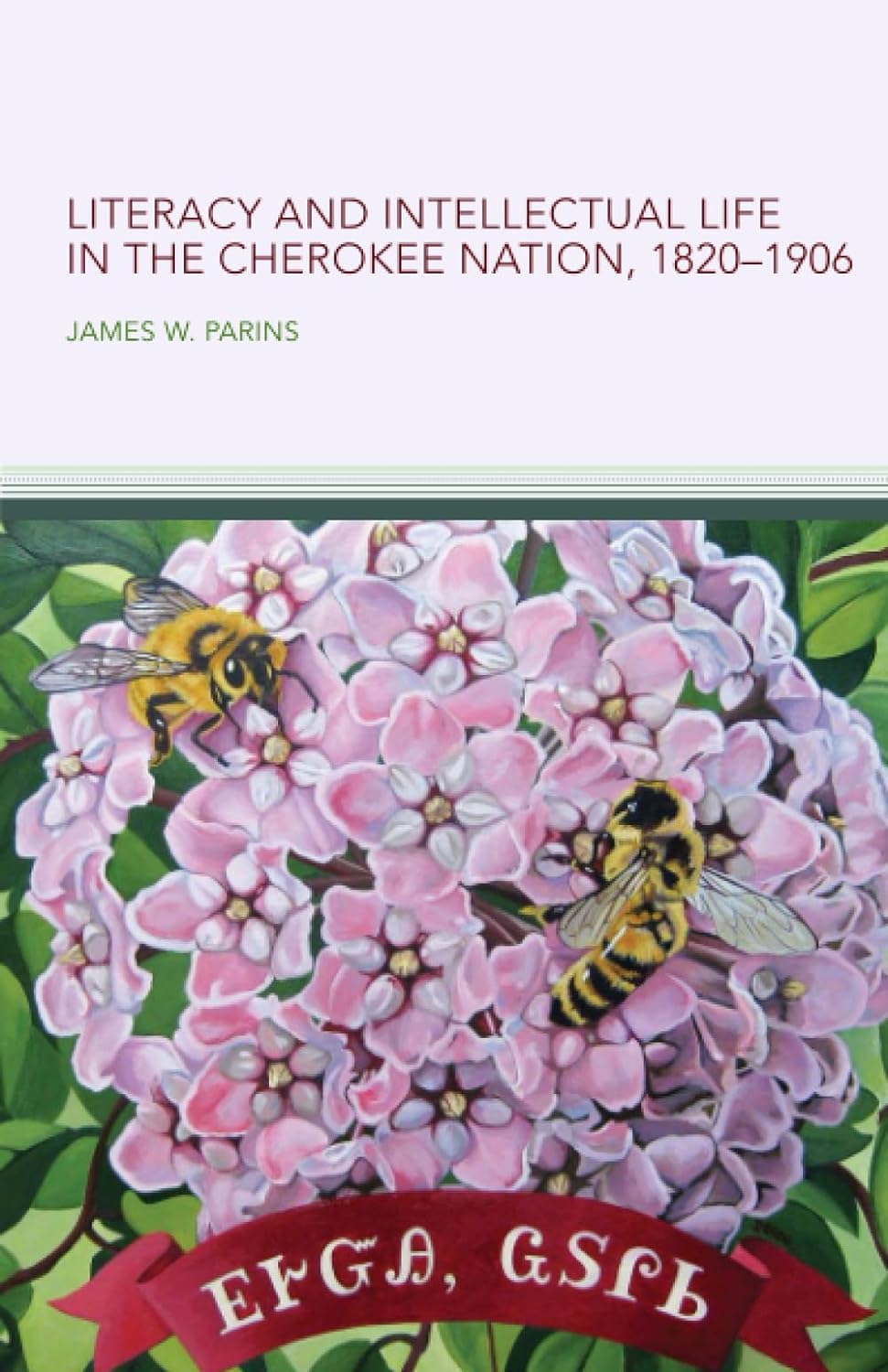 Literacy and Intellectual Life in the Cherokee Nation, 1820 - 1906 by James W. Parins