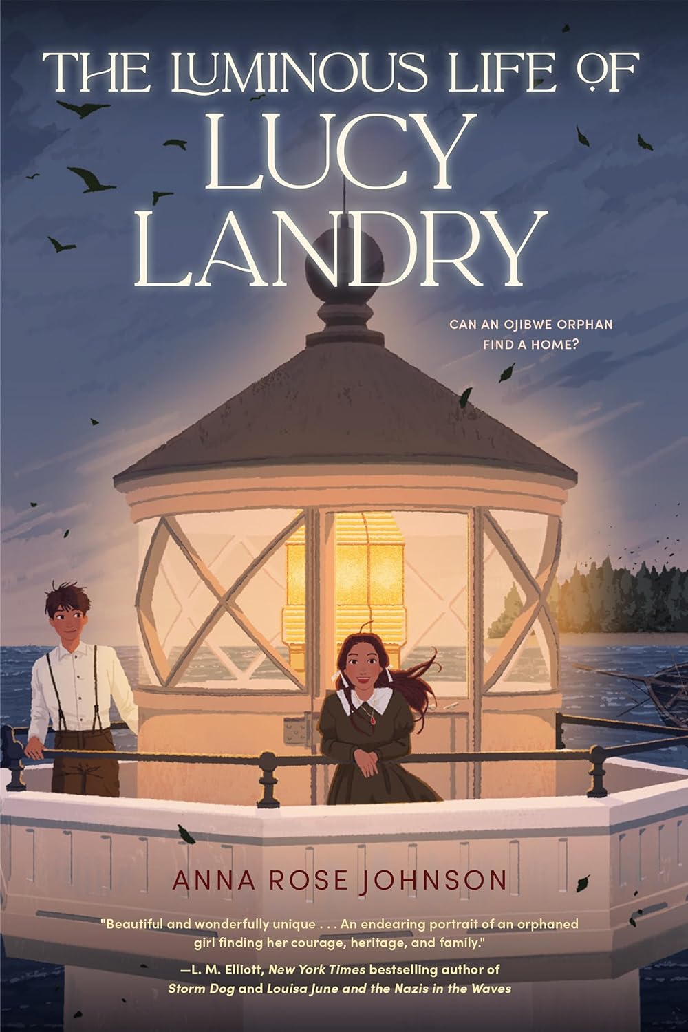 The Luminous Life of Lucy Landry by Anna Rose Johnson