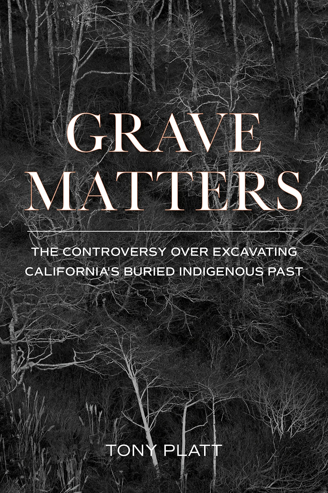 Grave Matters: The Controversy Over Excavating California's Buried Indigenous Past  by Tony Platt
