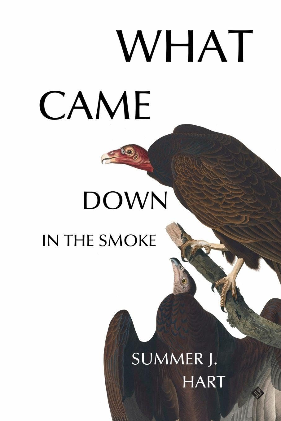 What Came Down in the Smoke by Summer J. Hart