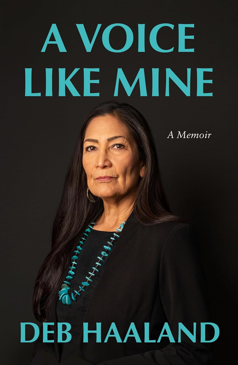A Voice Like Mine by Deb Haaland
