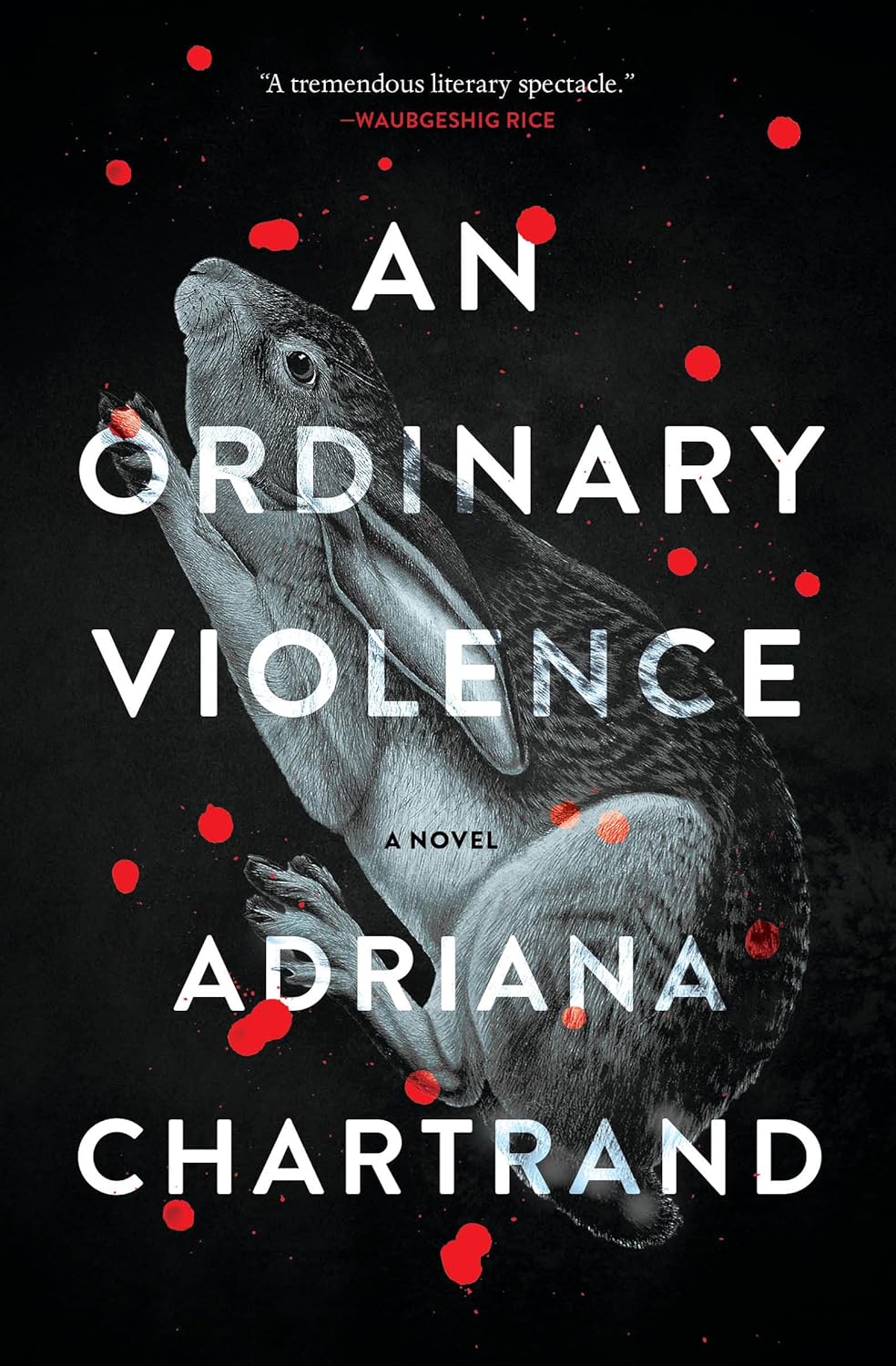 An Ordinary Violence by Adriana Chartrand