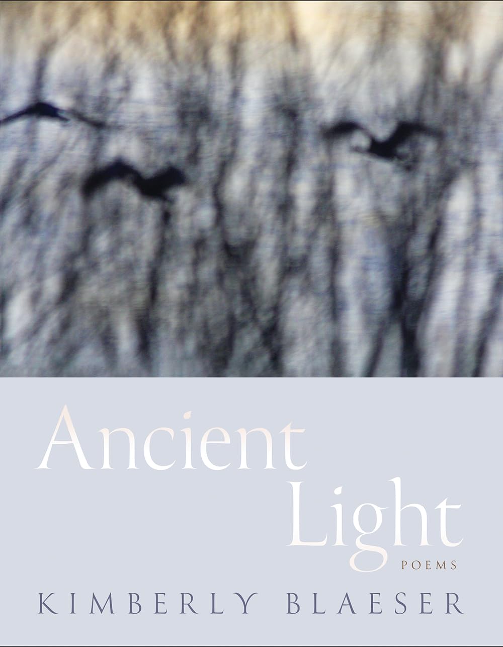 Ancient Light by Kimberly Blaeser