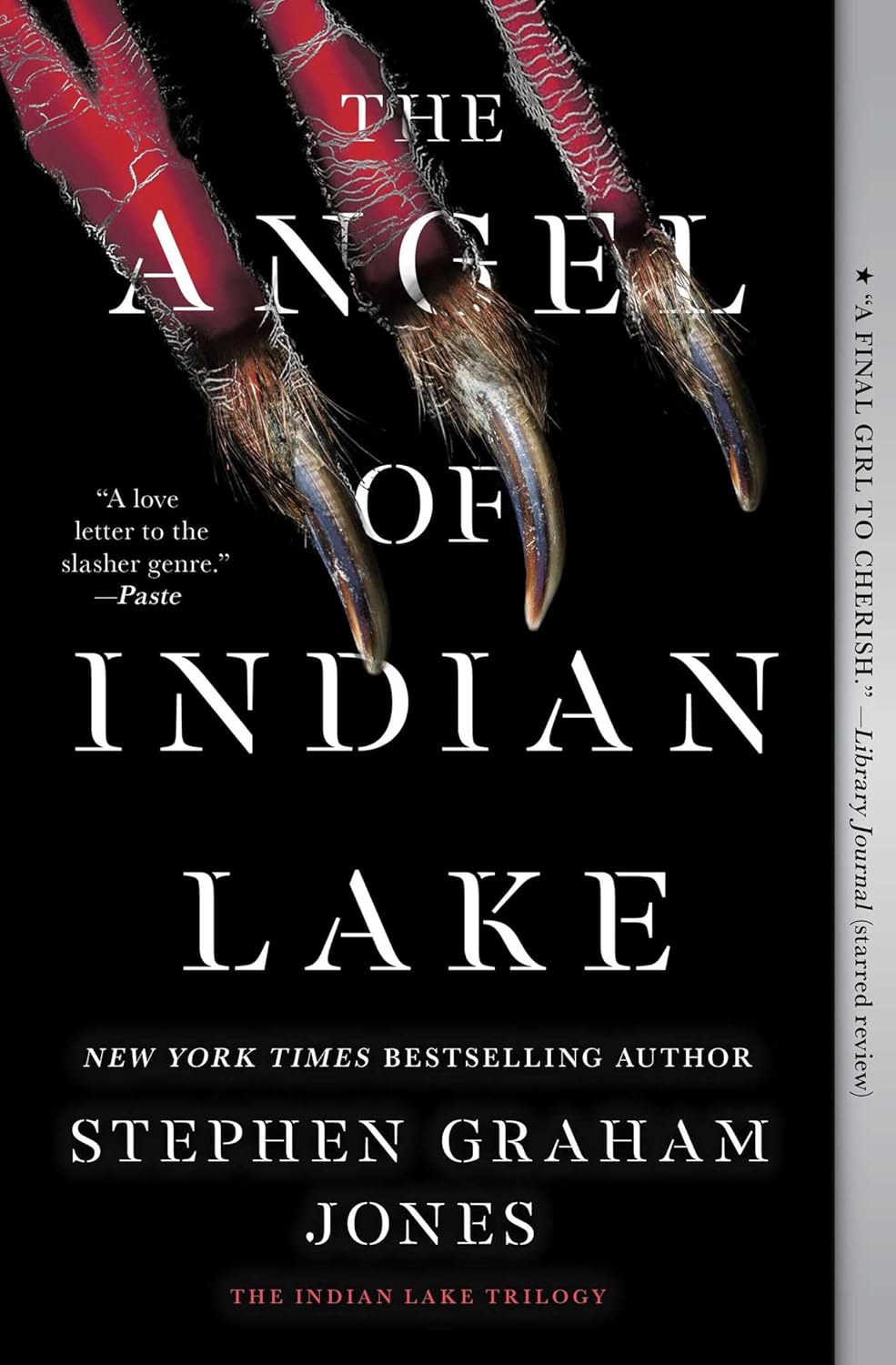 The Angel of Indian Lake by Stephen Graham Jones