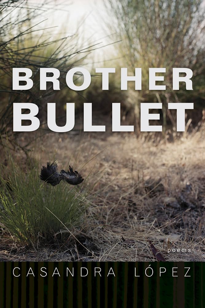 Brother Bullet by Casandra López 