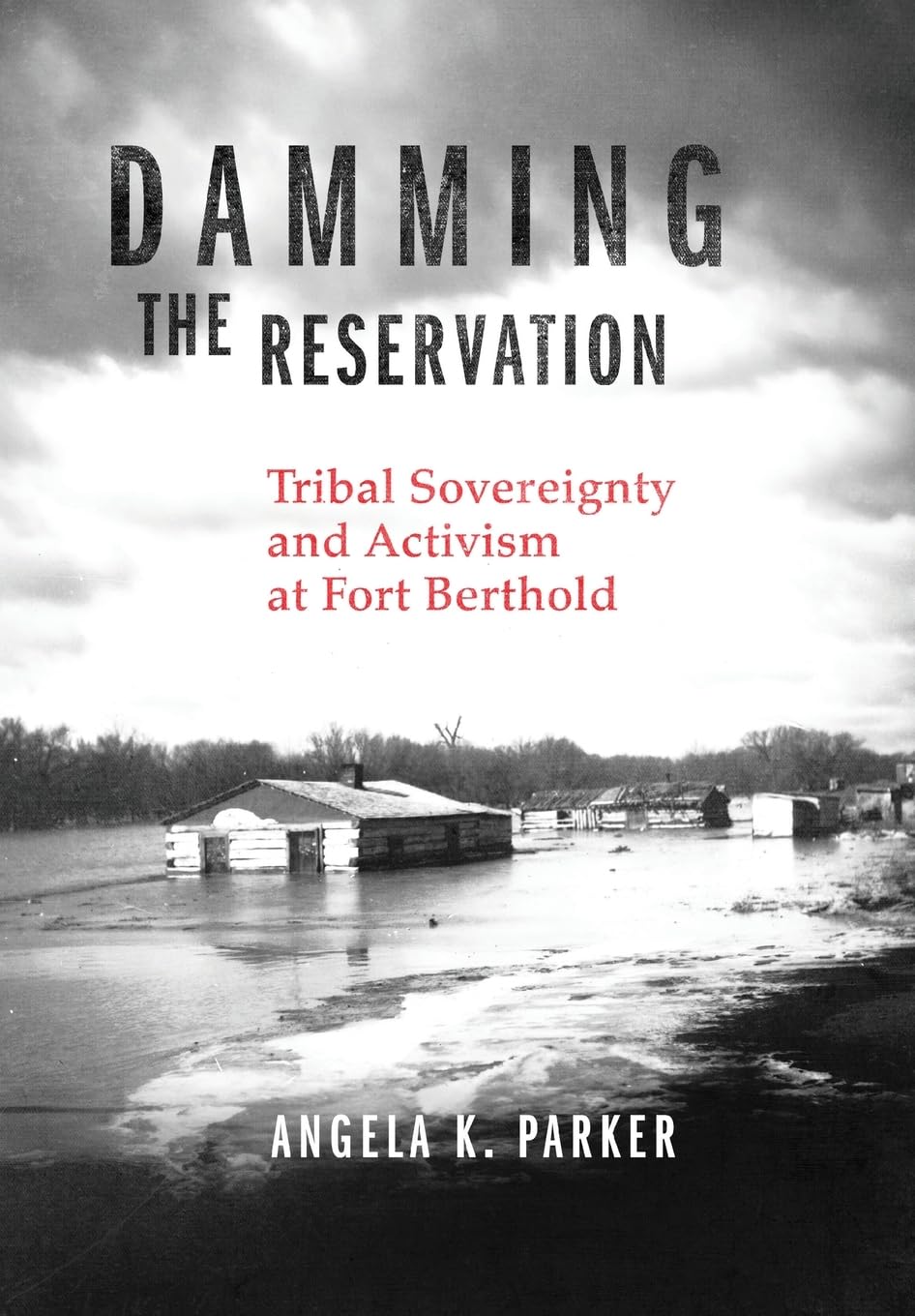 Damming the Reservation: Tribal Sovereignty and Activism at Fort Berthold by Angela K. Parker