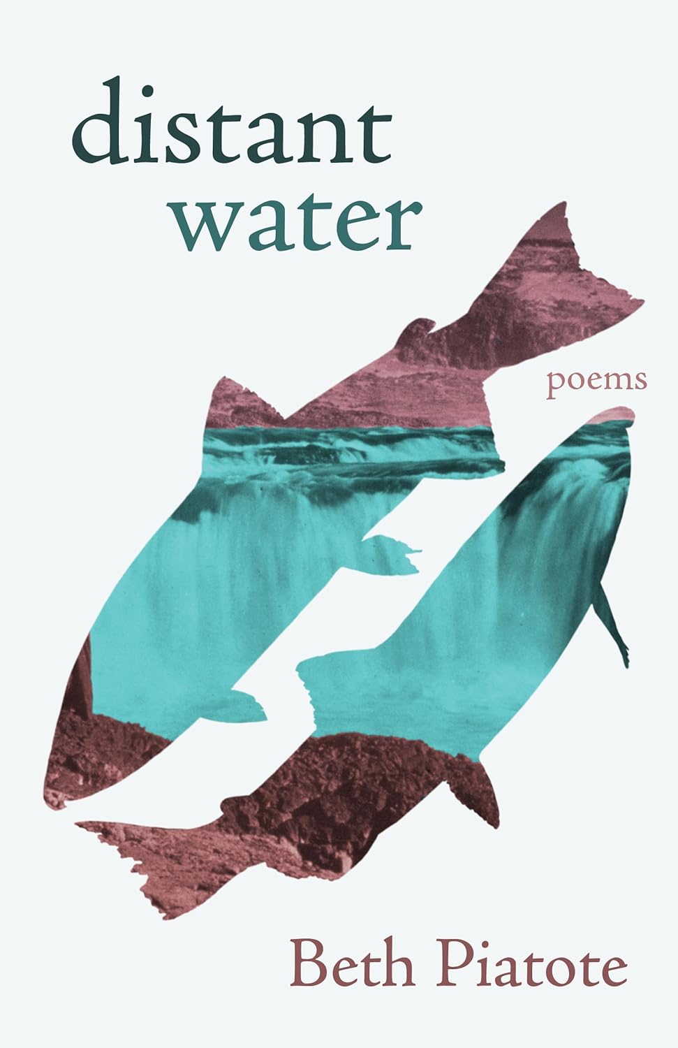 Distant Water by Beth Piatote