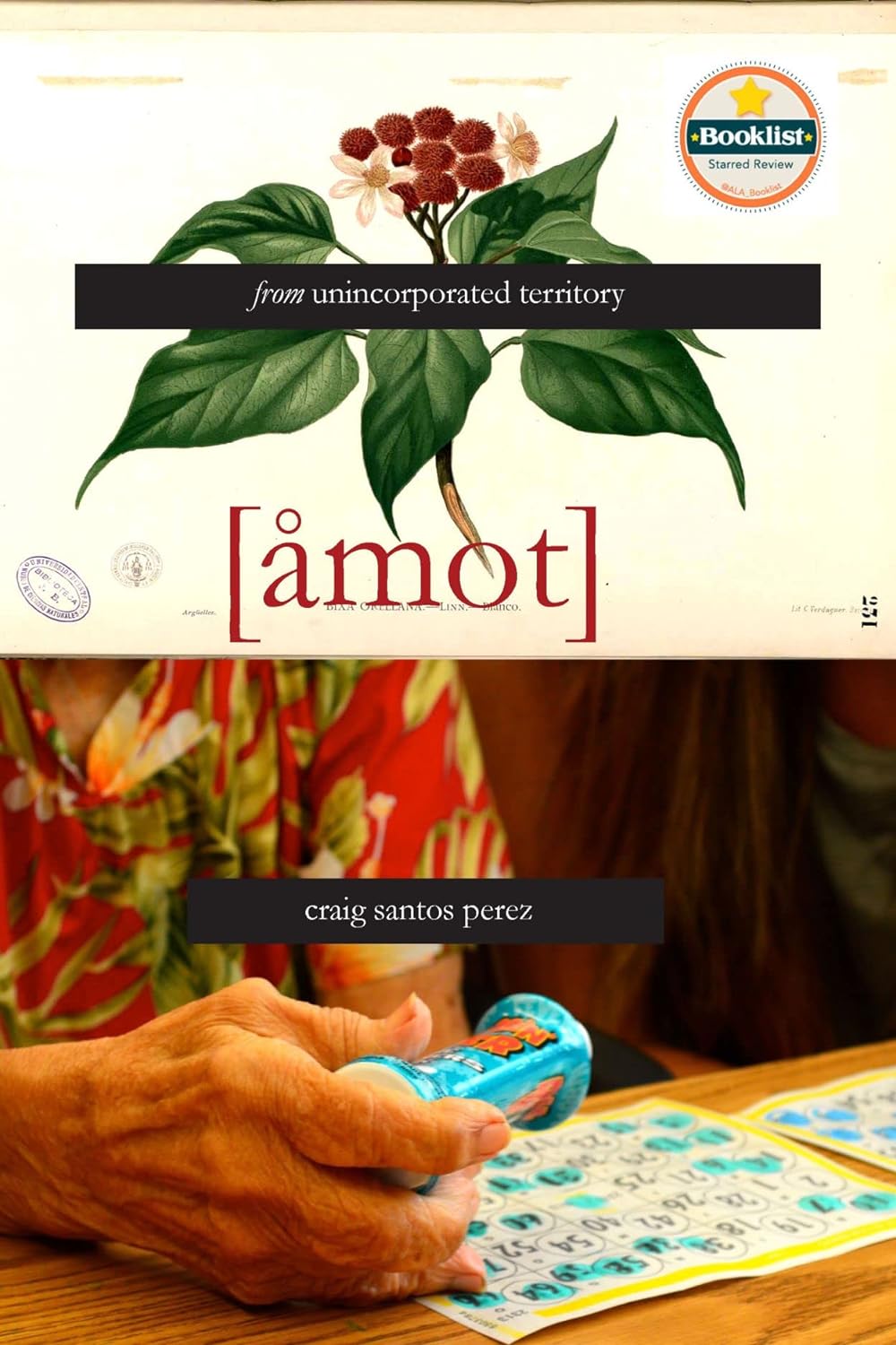 From Unincorporated Territory [Åmot] by Craig Santos Perez