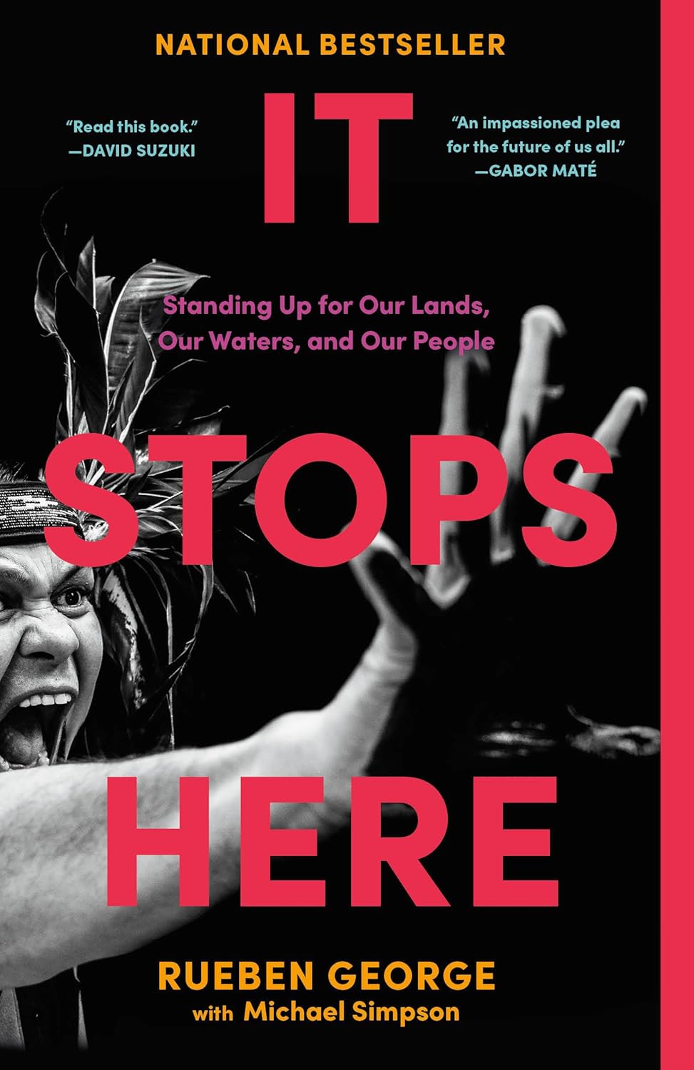 It Stops Here: Standing Up for Our Lands, Our Waters, and Our People by Rueben George
