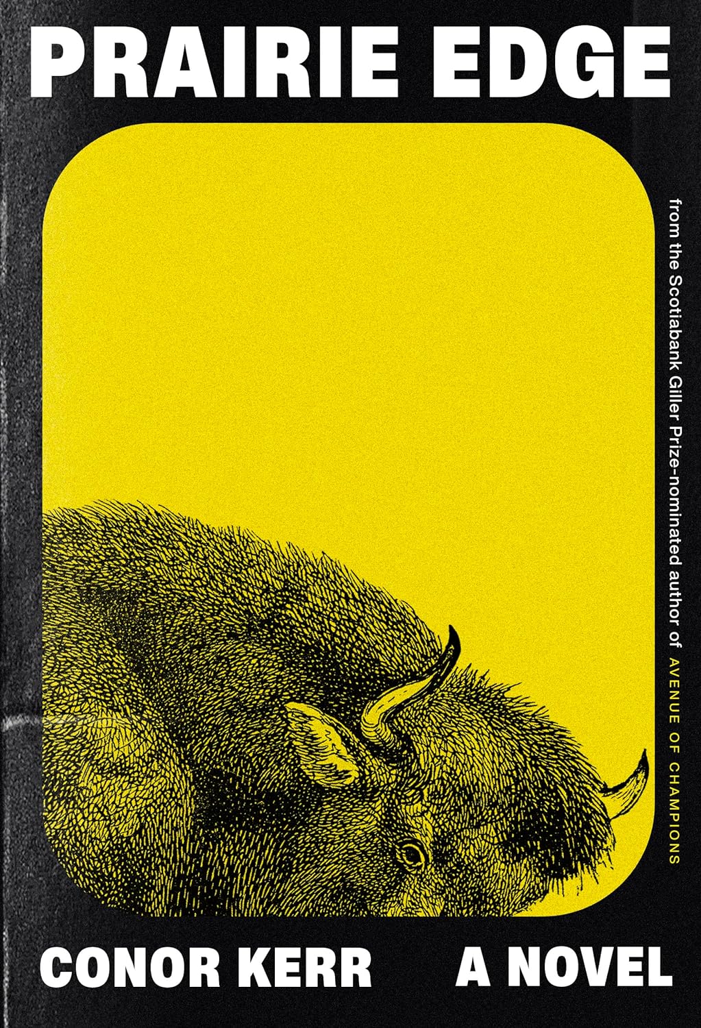 Prairie Edge by Conor Kerr
