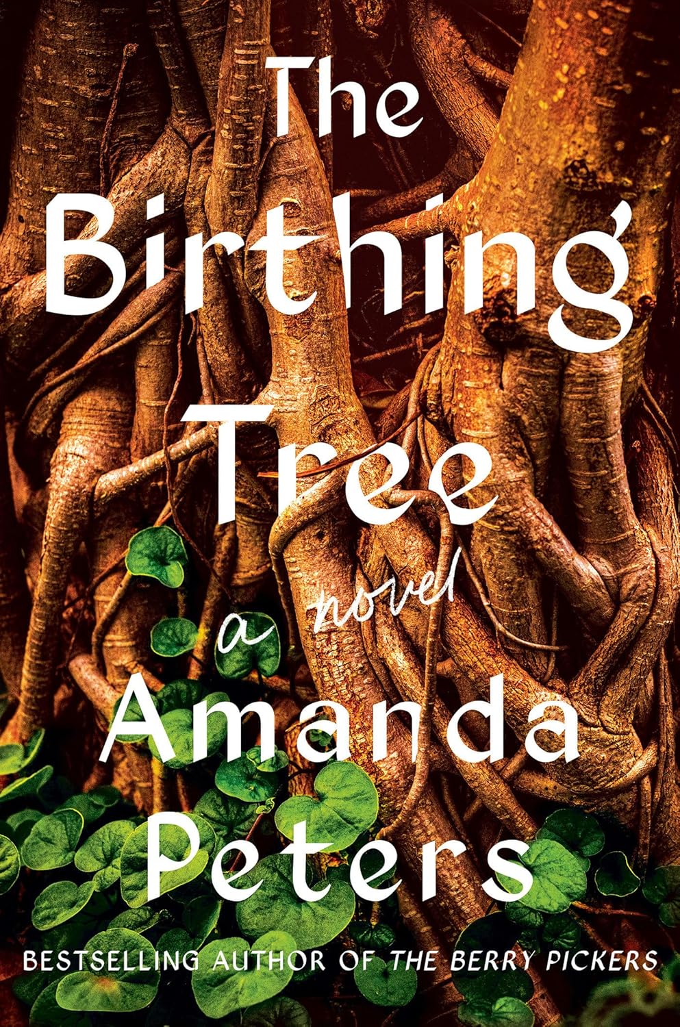 The Birthing Tree by Amanda Peters