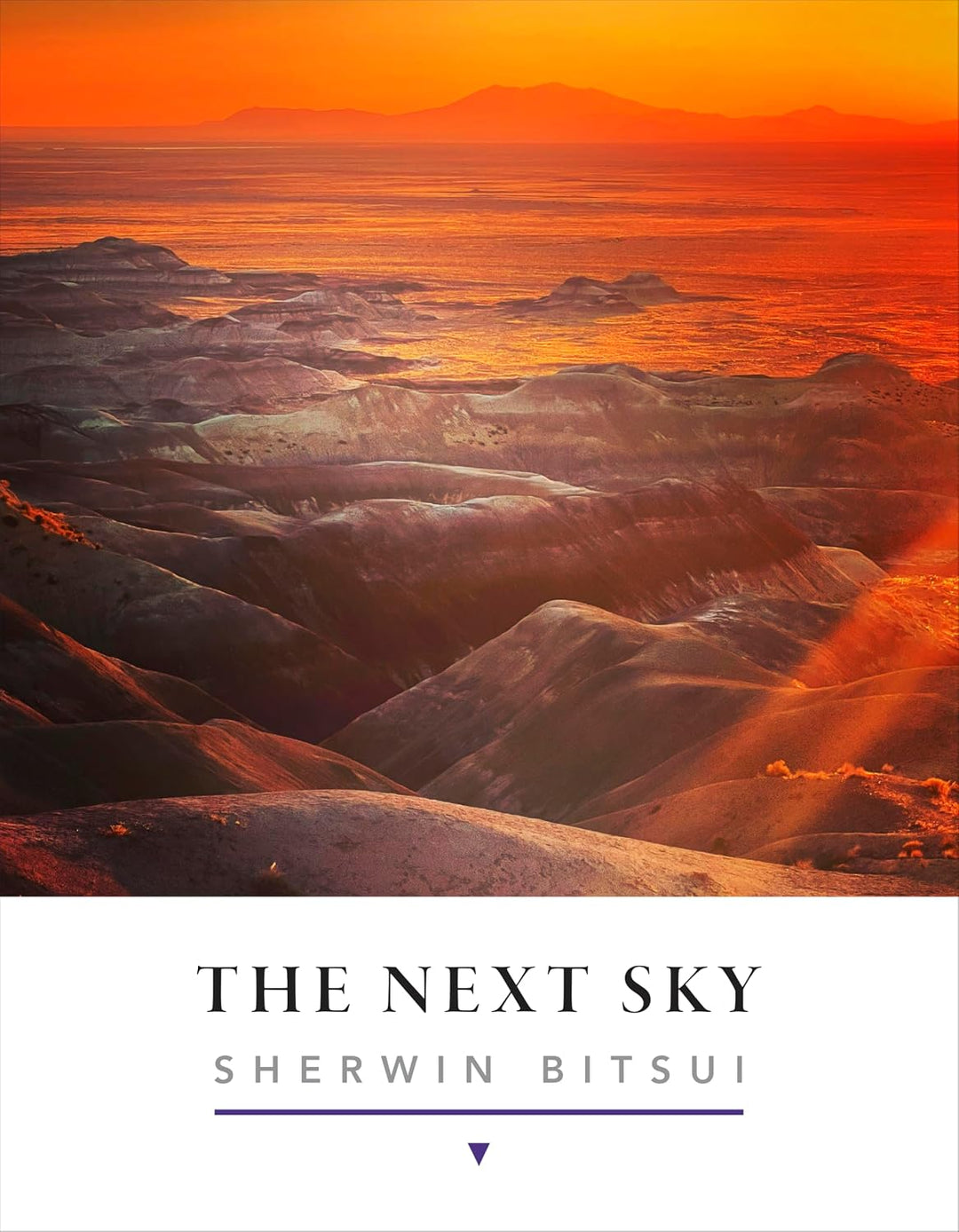 The Next Sky by Sherwin Bitsui