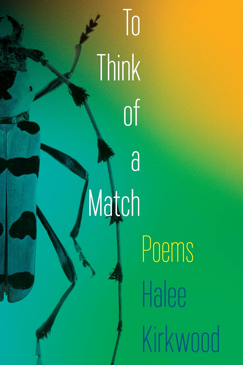 To Think of a Match: Poems by Halee Kirkwood