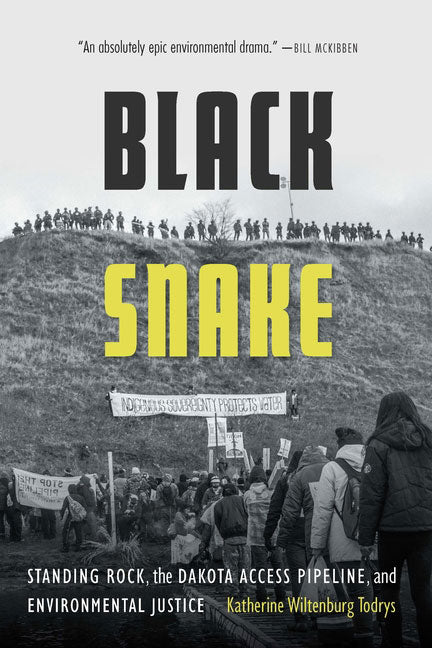 Black Snake: Standing Rock, the Dakota Access Pipeline, and Environmental Justice by Katherine Wiltenburg Todrys