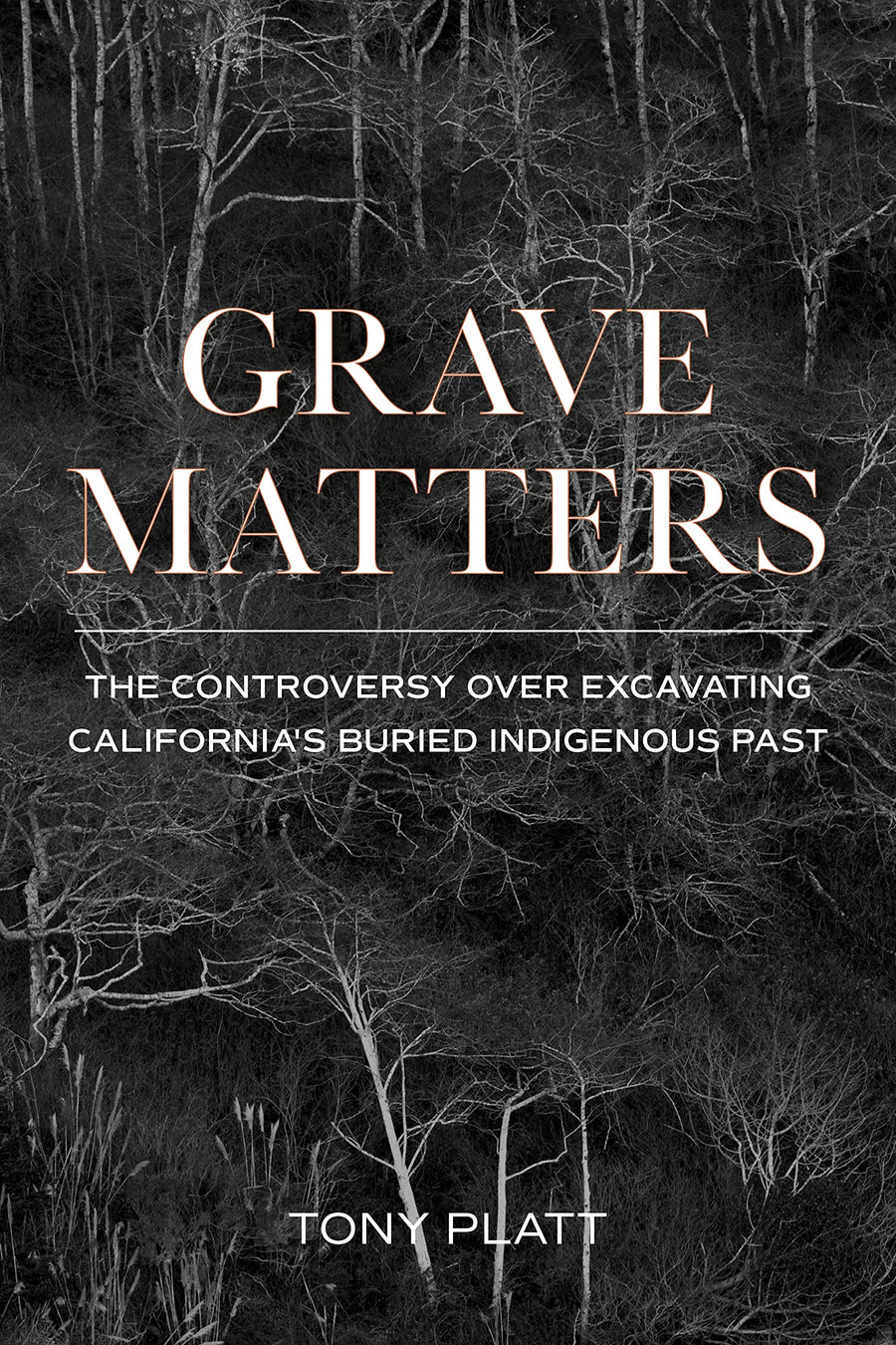 Grave Matters: The Controversy Over Excavating California's Buried Indigenous Past  by Tony Platt