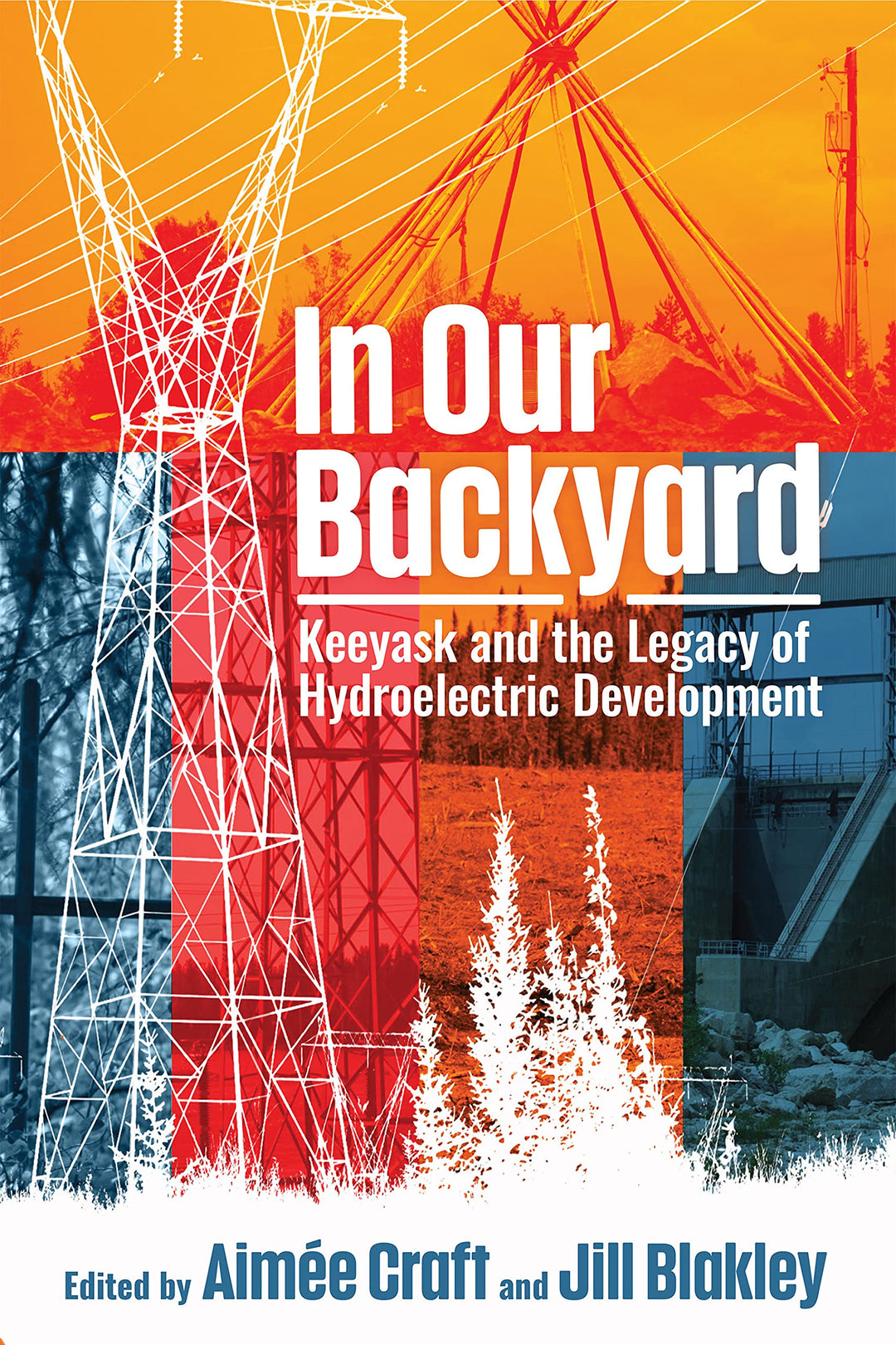 In Our Backyard: Keeyask and the Legacy of Hydroelectric Development edited by Aimée Craft & Jill Blakley