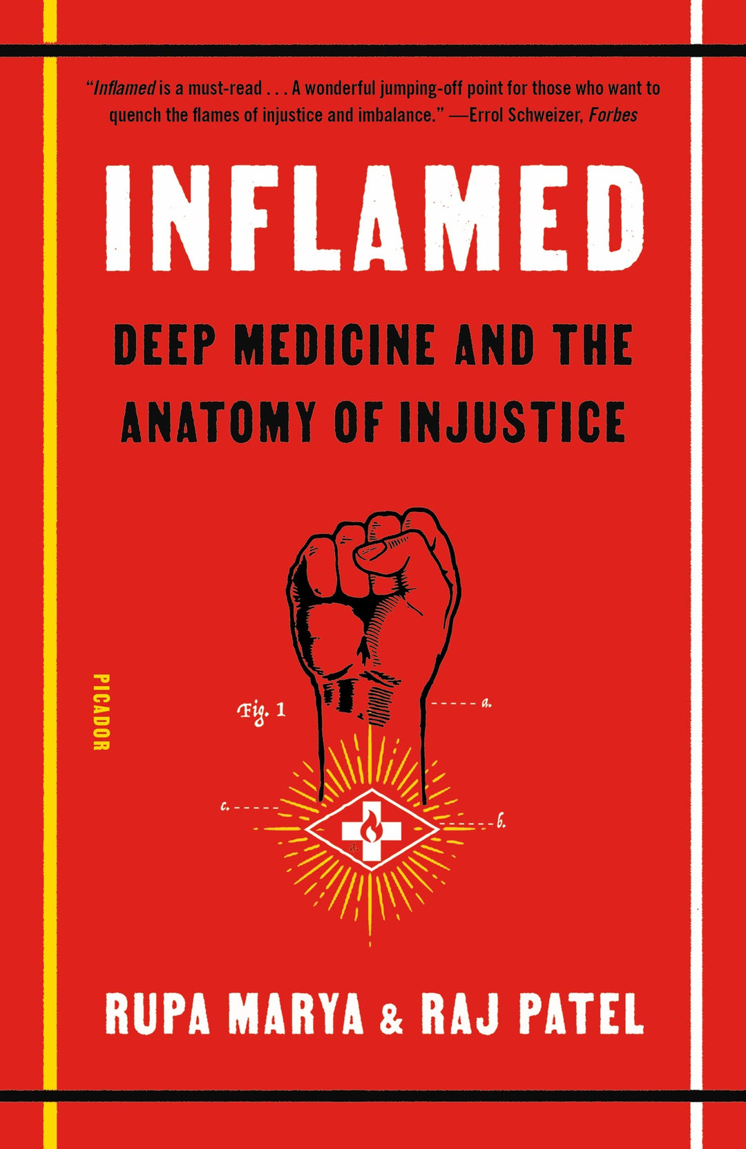 Inflamed: Deep Medicine and the Anatomy of Injustice by Rupa Marya & Raj Patel
