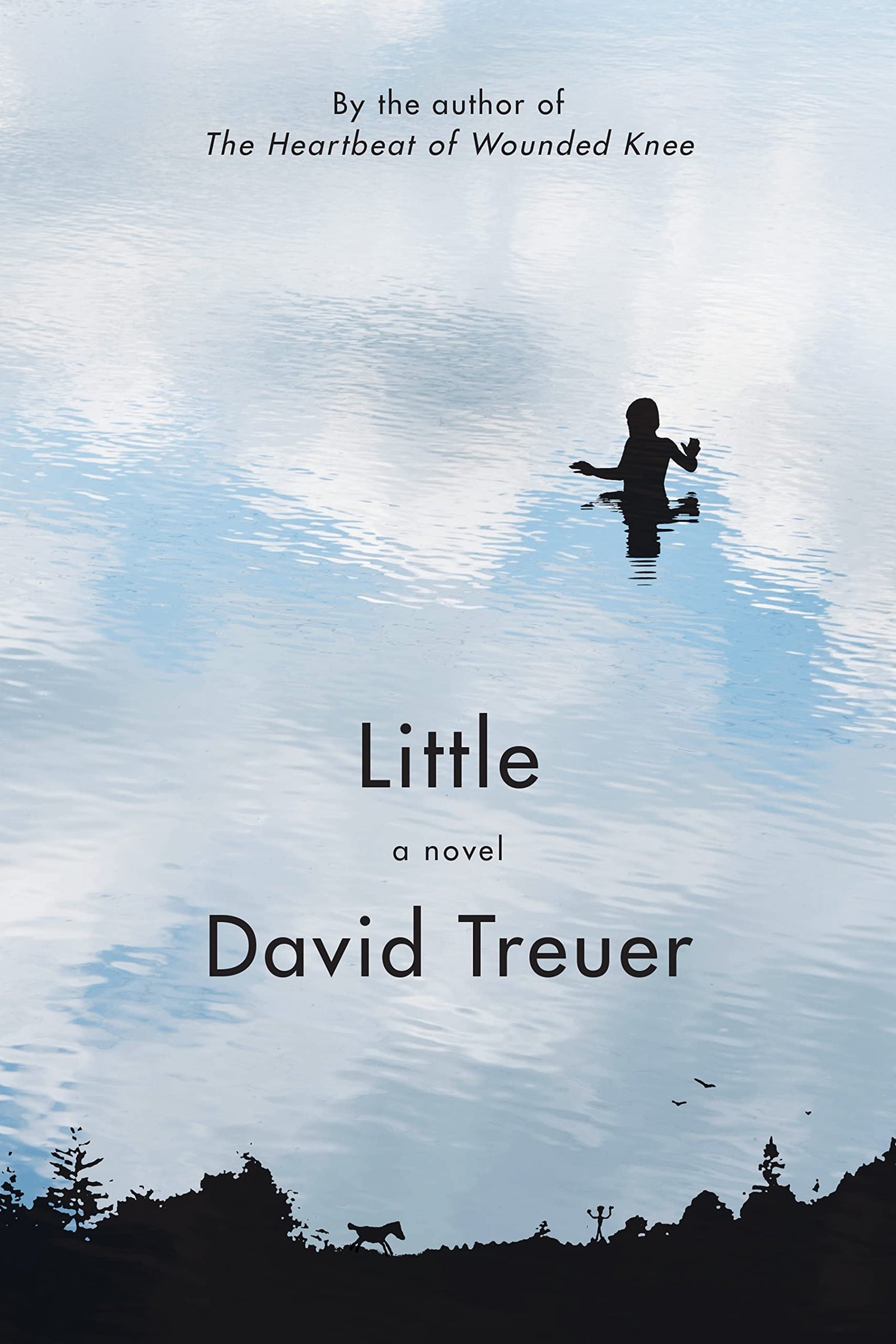 Little by David Treuer