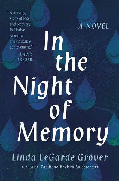 In the Night of Memory by Linda Legarde Grover