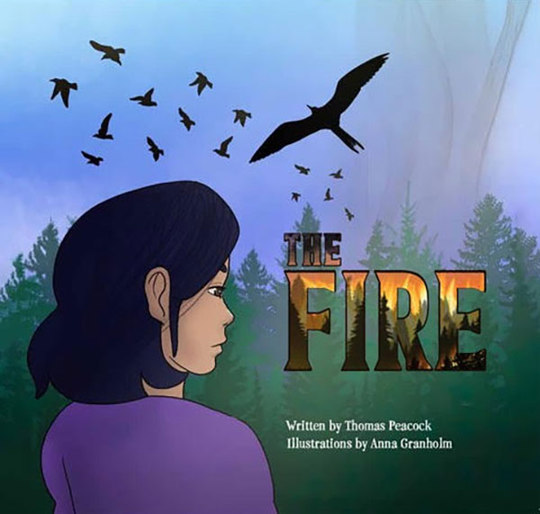 The Fire by Thomas Peacock